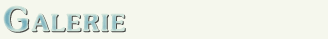 banner_angel-treff