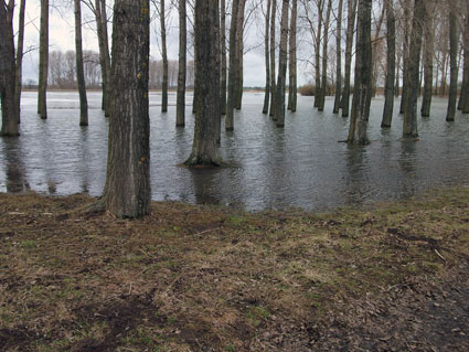 Hochwasser im Fr�hjahr 2011
