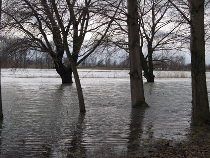 Hochwasser im Fr�hjahr 2011