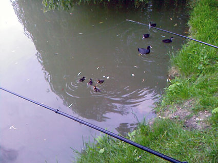 Siebleben M&ouml;nchshofteiche